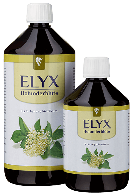 Elyx Holunderblüte